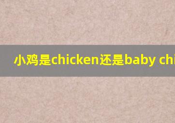 小鸡是chicken还是baby chicken